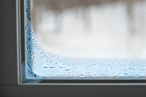 Window-condensation-on-bottom